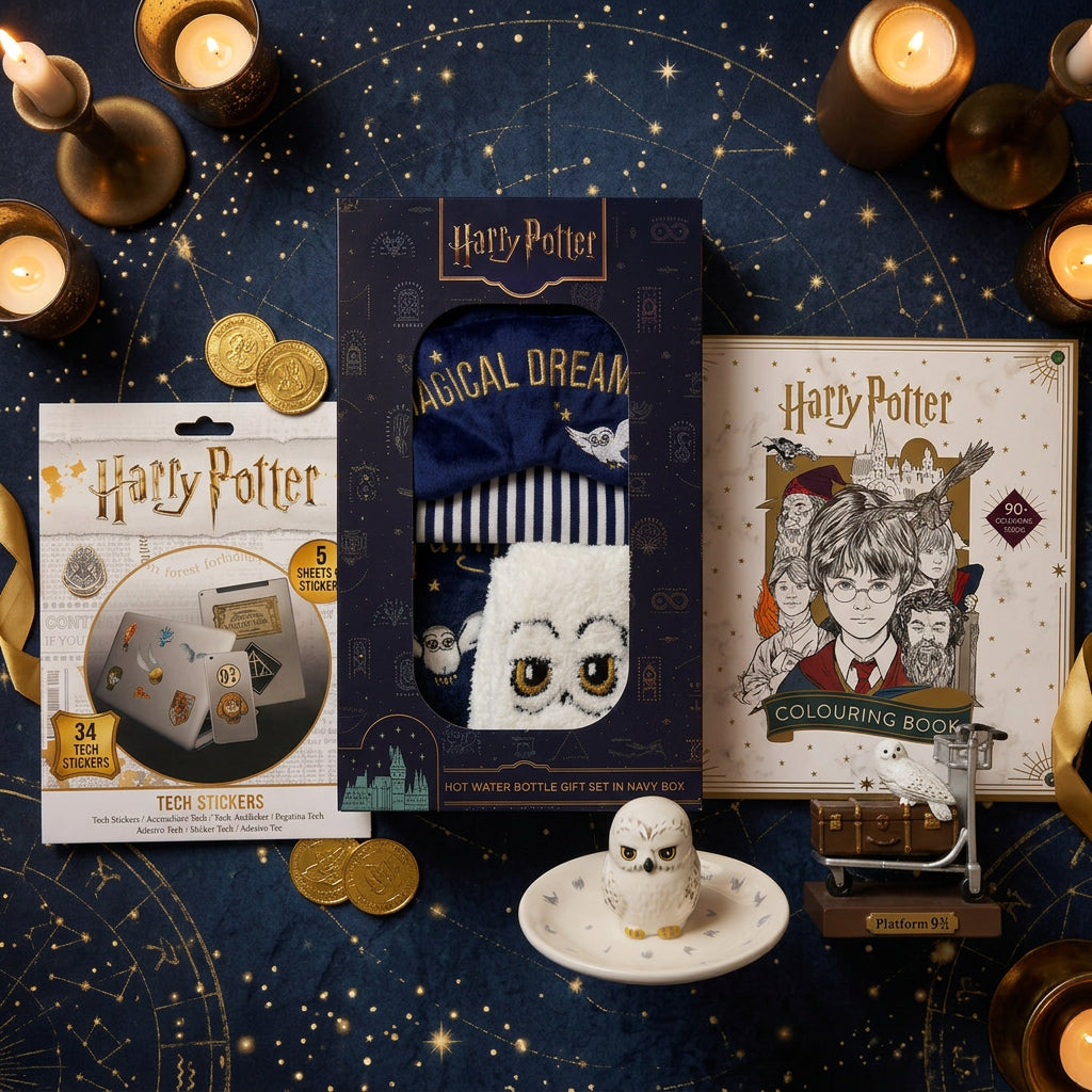 Harry Potter Secret Surprise
